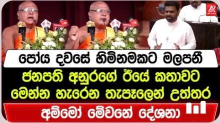 ” වක්කඩේ හකුරු හැංඟුවා වගේ “